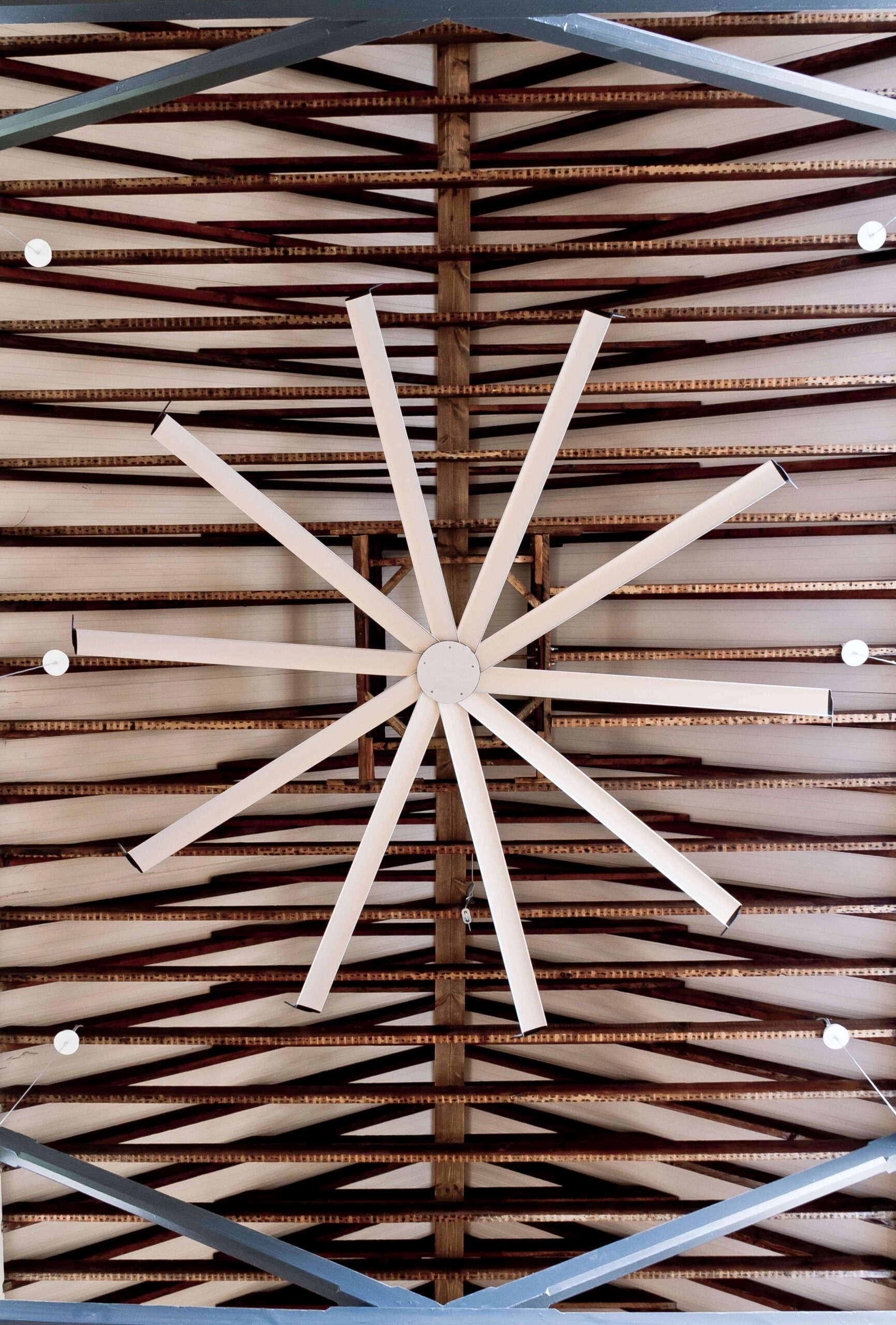 66-67 Great Strand Street